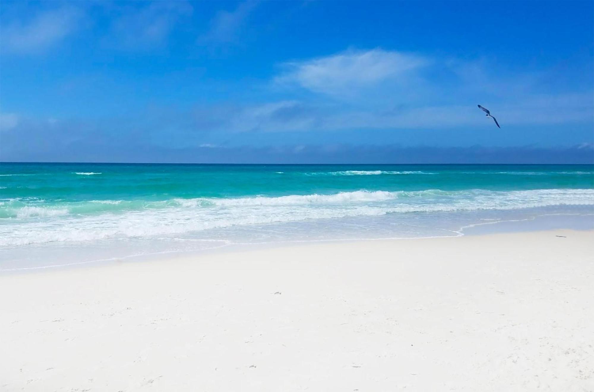 Emerald Beach 1033 Panama City Beach Luaran gambar
